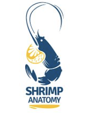 Shrimp Anatomy logo
